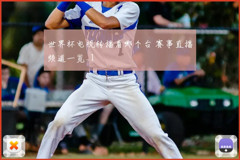 世界杯电视转播看哪个台 赛事直播频道一览_1
