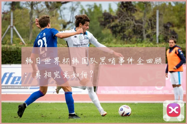 韩日世界杯韩国队黑哨事件全回顾：真相究竟如何？